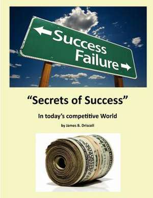 The Secret of Success de James B. Driscoll