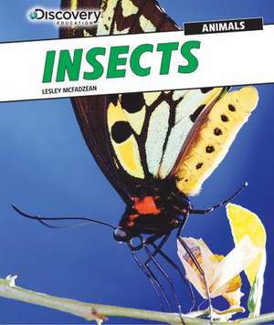 Insects de Lesley McFadzean