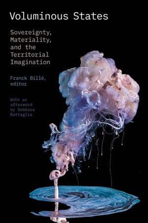 Voluminous States de Franck Billé