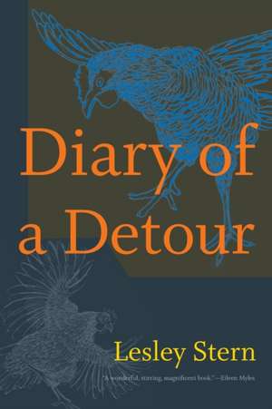 Diary of a Detour de Lesley Stern