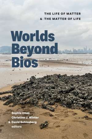 Worlds Beyond Bios de Christine J. Winter