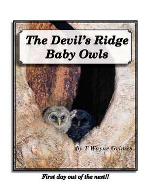 The Devil's Ridge Baby Owls de T. Wayne Grimes