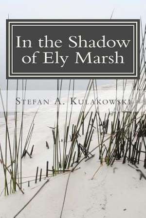 In the Shadow of Ely Marsh de Stefan a. Kulakowski