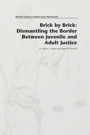 Brick by Brick de Jeffrey A. Butts