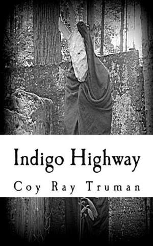 Indigo Highway: Exploring Our Inner Universe de Coy Ray Truman