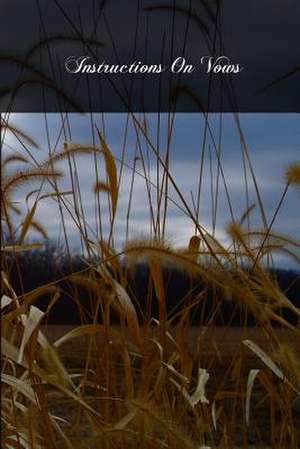 Instructions on Vows de Christian Brothers