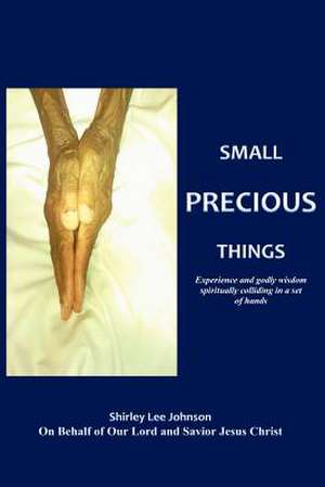 Small Precious Things: Experience and Godly Wisdom Spiritually Colliding in a Set of Hands de Shirley Lee Johnson