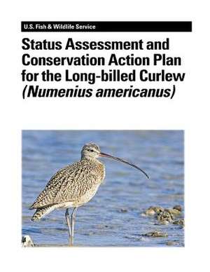 Status Assessment and Conservation Action Plan for the Long-Billed Curlew (Numenius Americanus) de Suzanne D. Fellows