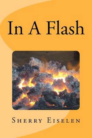 In a Flash de Sherry Eiselen