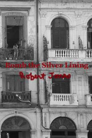 Bomb the Silver Lining de Robert Jones