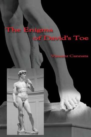 The Enigma of David's Toe: Organisasi de Vincent Cannata