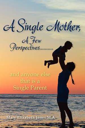 A Single Mother, a Few Perspectives......and Anyone Else That Is a Single Parent de Mary Elizabeth Jones M. a.