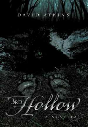 3rd Hollow de David Atkins