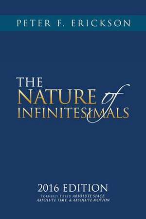 The Nature of Infinitesimals de Peter F. Erickson