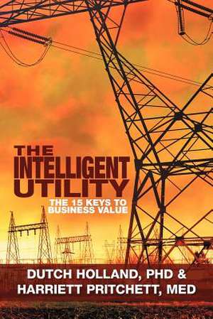 The Intelligent Utility de Dutch Holland