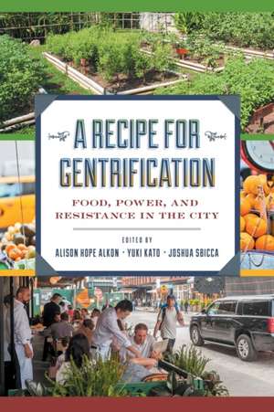 A Recipe for Gentrification – Food, Power, and Resistance in the City de Alison Hope Alkon