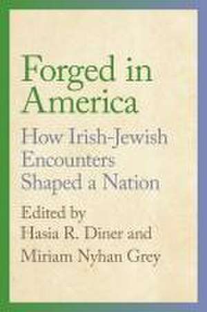 Forged in America – How Irish–Jewish Encounters Shaped a Nation de Hasia R. Diner