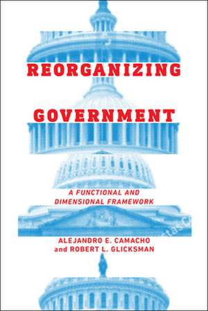 Reorganizing Government – A Functional and Dimensional Framework de Alejandro Camacho