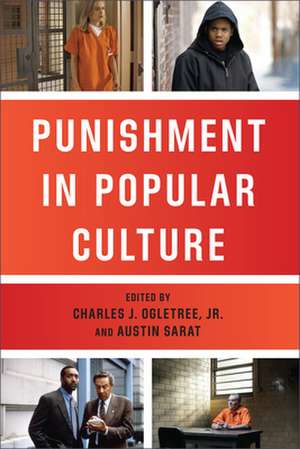 Punishment in Popular Culture de Charles J. Ogletree Jr.