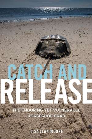 Catch and Release de Lisa Jean Moore