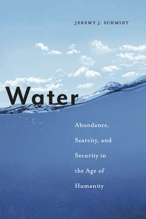 Water – Abundance, Scarcity, and Security in the Age of Humanity de Jeremy J. Schmidt