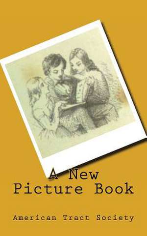 A New Picture Book de American Tract Society