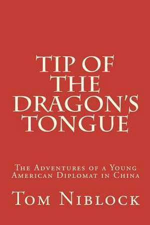 Tip of the Dragon's Tongue de Tom Niblock