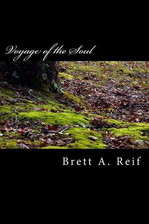 Voyage of the Soul de Brett a. Reif