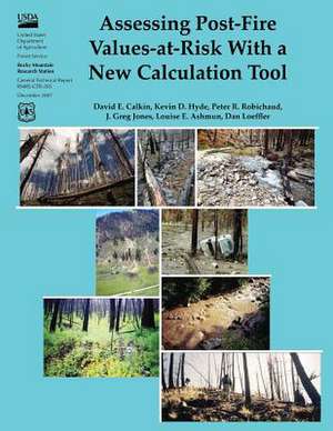 Assessing Post-Fire Values-At-Risk with a New Calculation Tool de David E. Calkin