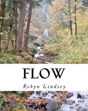 Flow de Robyn Lindsey