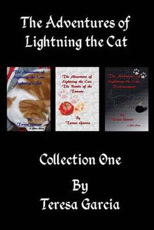 The Adventures of Lightning the Cat de Teresa Garcia