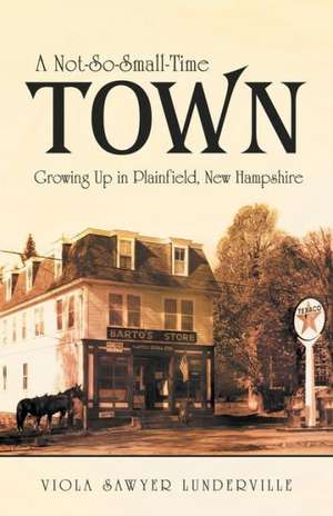 A Not-So-Small-Time Town de Viola Sawyer Lunderville