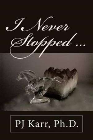 I Never Stopped . . . de Ph. D. Pj Karr