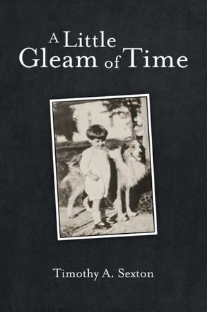 A Little Gleam of Time de Timothy A. Sexton