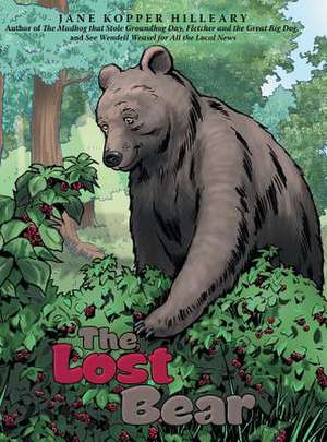 The Lost Bear de Kopper Hilleary, Jane