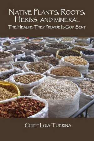 Native Plants, Roots, Herbs, and Mineral: The Healing They Provide Is God Sent de Luis Tijerina