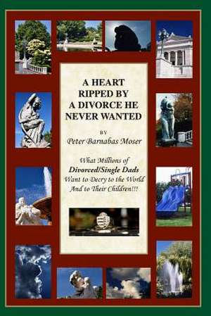 A Heart Ripped by a Divorce He Never Wanted de Peter Barnabas Moser