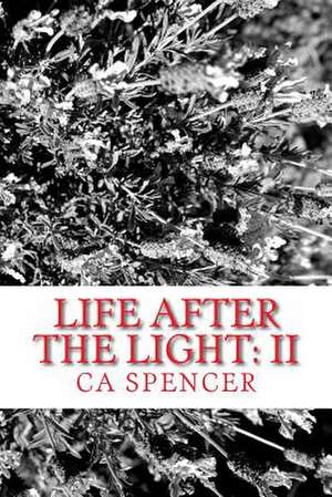 Life After the Light de C. a. Spencer