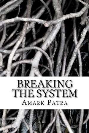 Breaking the System de MR Amark Patra