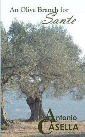 An Olive Branch for Sante de Antonio Casella