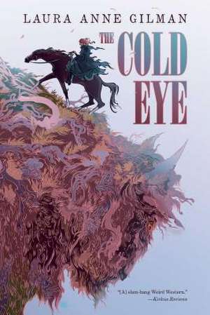 The Cold Eye de Laura Anne Gilman