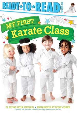 My First Karate Class de Alyssa Satin Capucilli