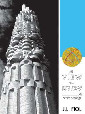 The View from Below de J. L. Fiol