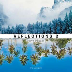 Reflections 2 de Peter Questel