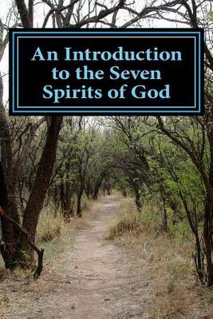 An Introduction to the Seven Spirits of God de New Mystic