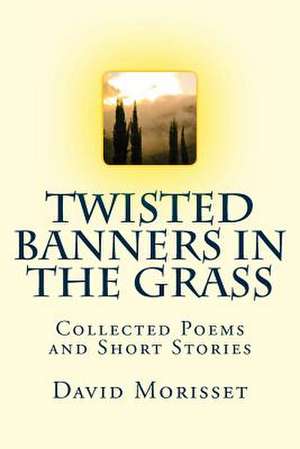 Twisted Banners in the Grass de David Morisset