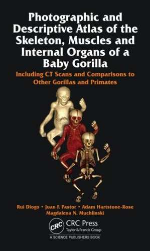 Baby Gorilla: Photographic and Descriptive Atlas of Skeleton, Muscles and Internal Organs de Rui Diogo