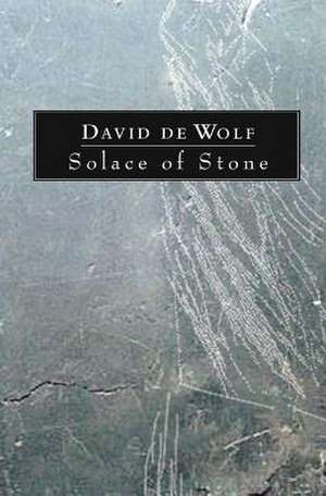 Solace of Stone de David De Wolf