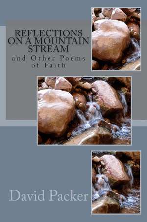 Reflections on a Mountain Stream de David Lee Packer