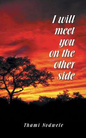 I Will Meet You on the Other Side de Thami Nodwele